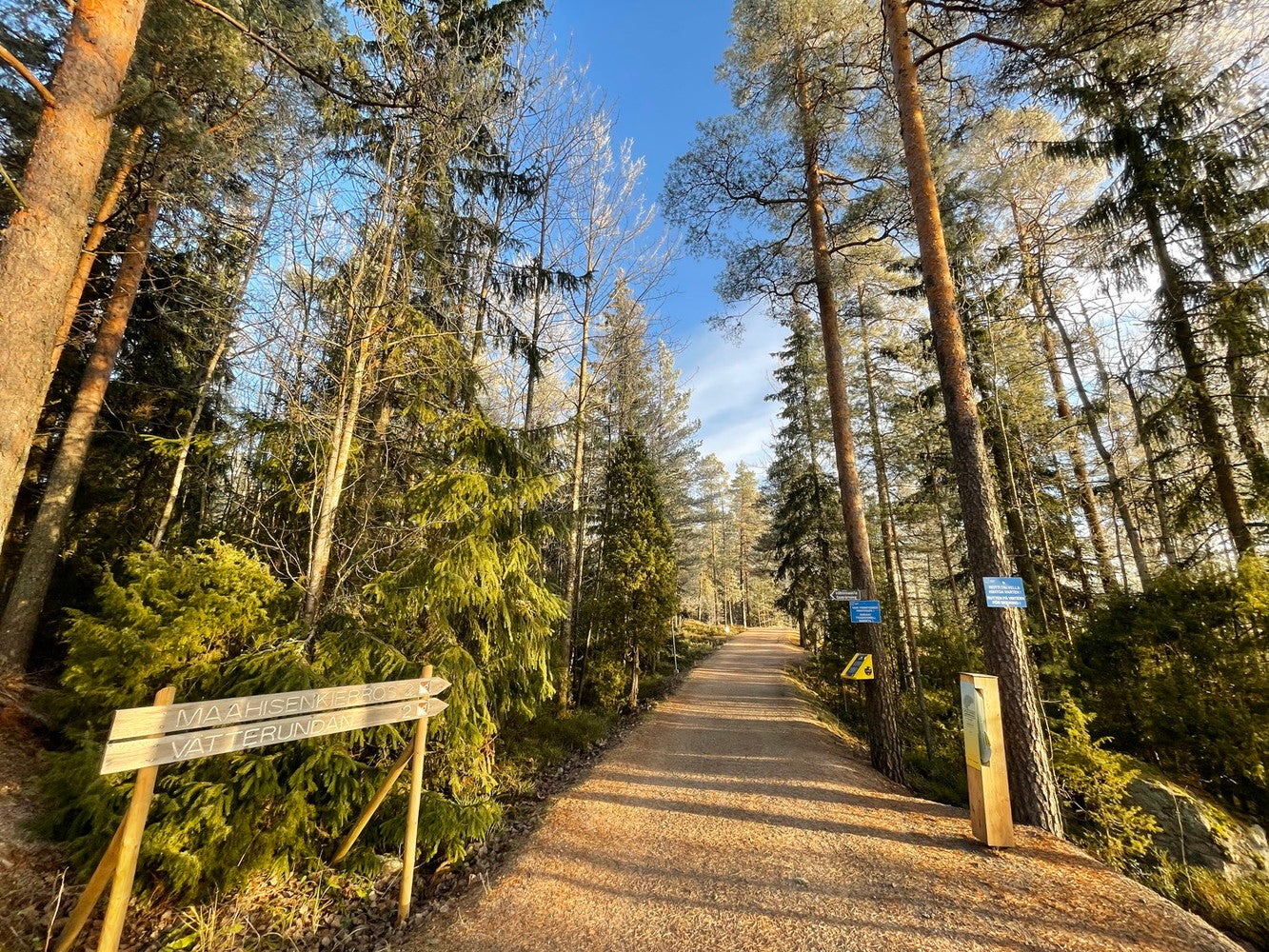 北欧の森／提供画像