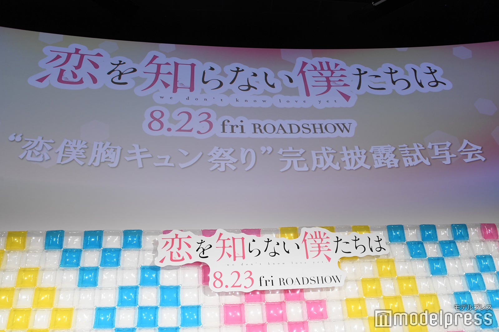映画『恋を知らない僕たちは』完成披露試写会（C）モデルプレス