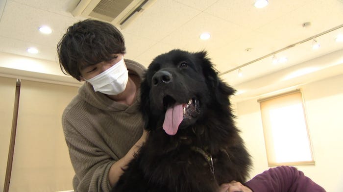 (左から)福士蒼汰(C)日本テレビ