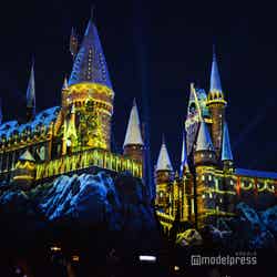 ホグワーツ・マジカル・ナイト ~ウインター・マジック~(C)モデルプレス