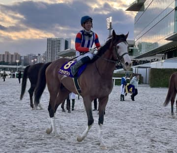 【地方競馬】フジノウェーブ記念 6歳馬のナンセイホワイトがついに重賞制覇