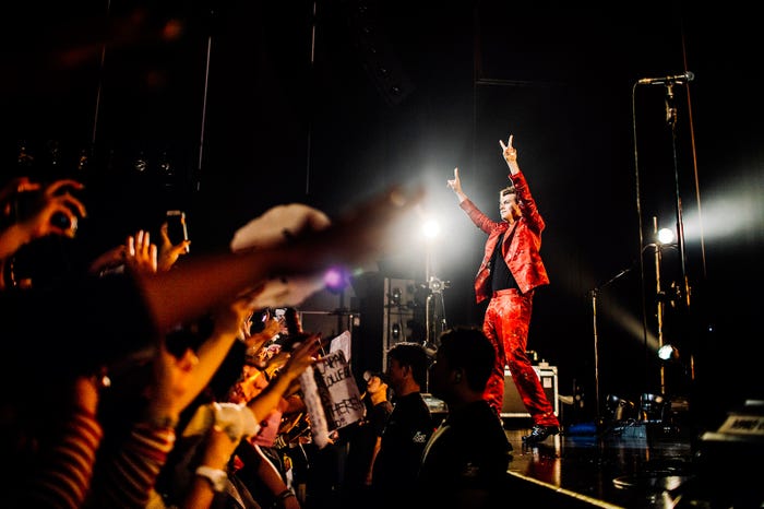 ハリー・スタイルズ(提供写真)