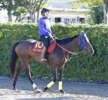 【秋華賞】ドリームコア 7枠13番に決定も枠順関係なし 山崎助手「やること変らない」いつも通り前での競馬を