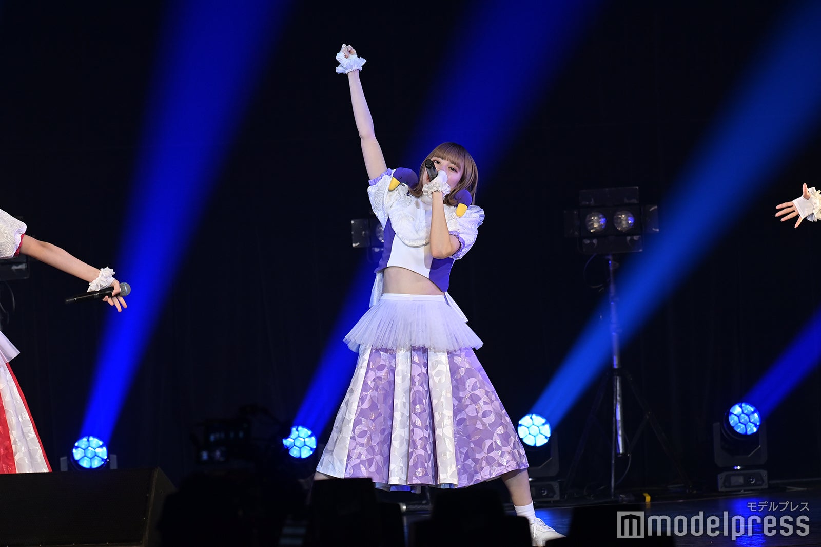 豆柴の大群（C）モデルプレス