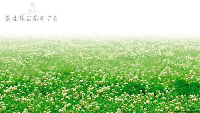 「僕は妹に恋をする」バーチャル背景(C)青木琴美・小学館/2006「僕妹」フィルムパートナーズ