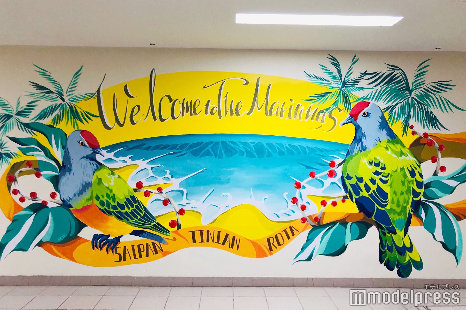 （C）モデルプレス