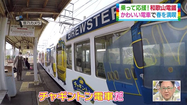 いちご、うめぼし…？バリエーションが豊か過ぎるローカル電車【和歌山・貴志川線編】