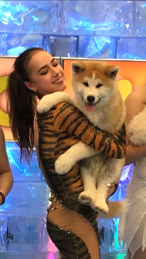 ザギトワ、トラ柄勝負服で参戦　オズモンド＆樋口新葉と“パシュート”対決も