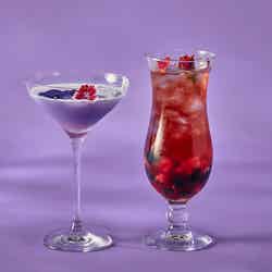 ファンタジー&ローズ アフタヌーンティー with ANNA SUI/提供画像