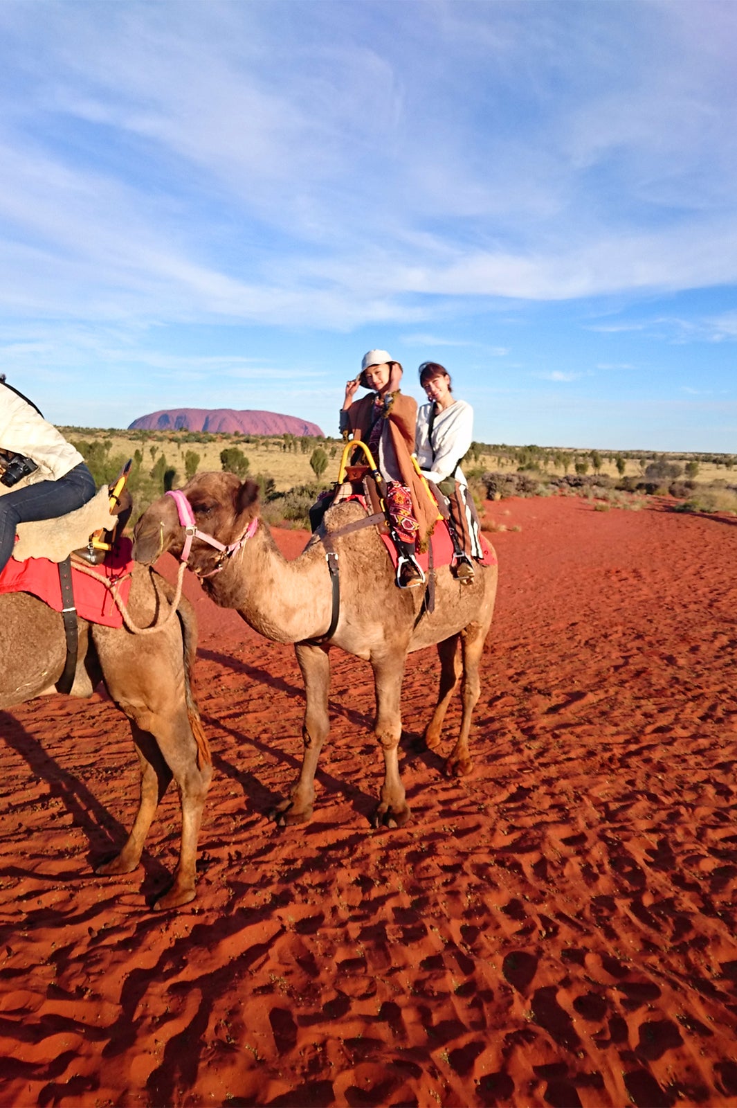 ラクダでキャラバン／画像提供：ノーザンテリトリー政府観光局
