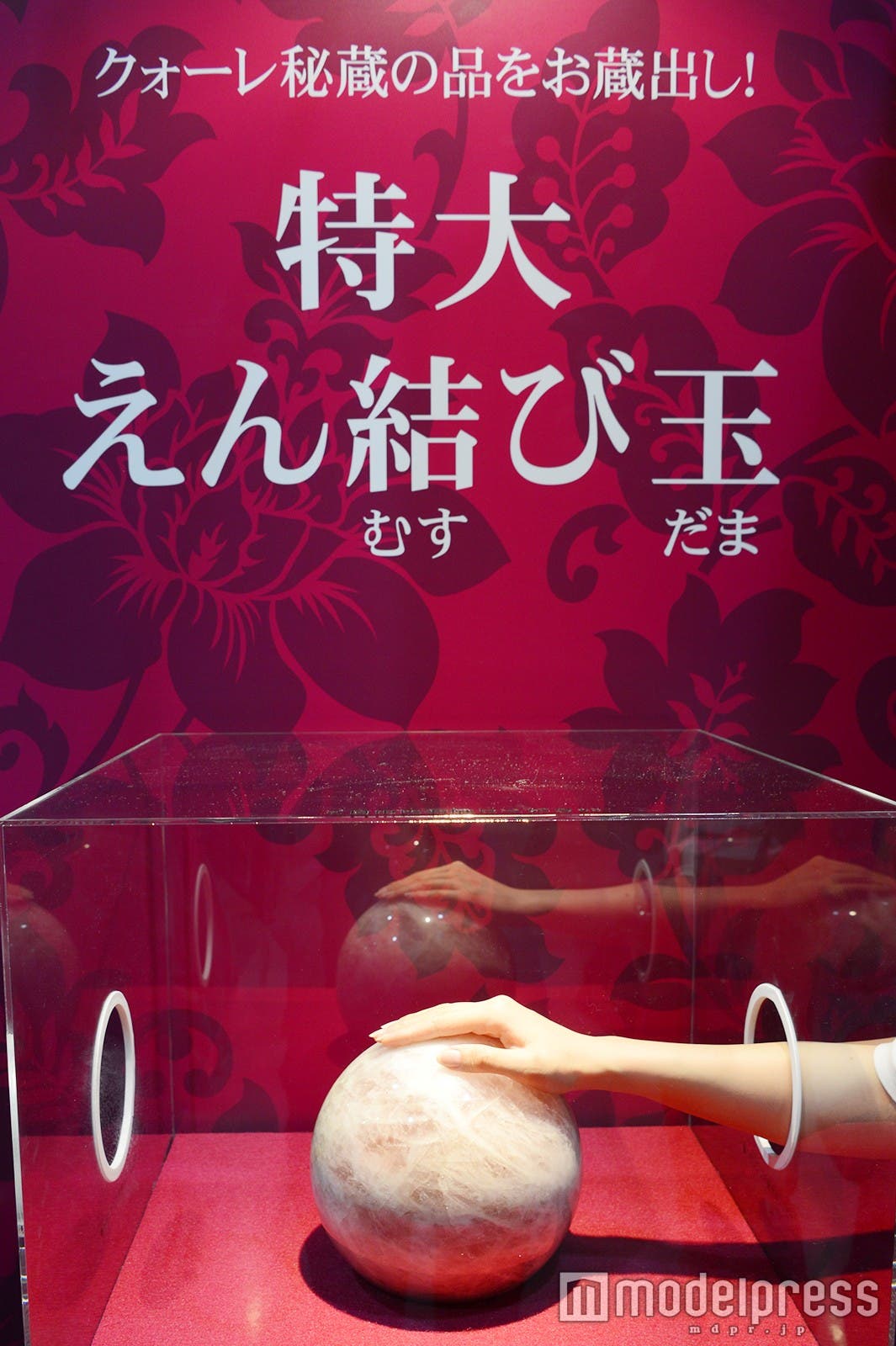 特大えん結び玉(C)モデルプレス