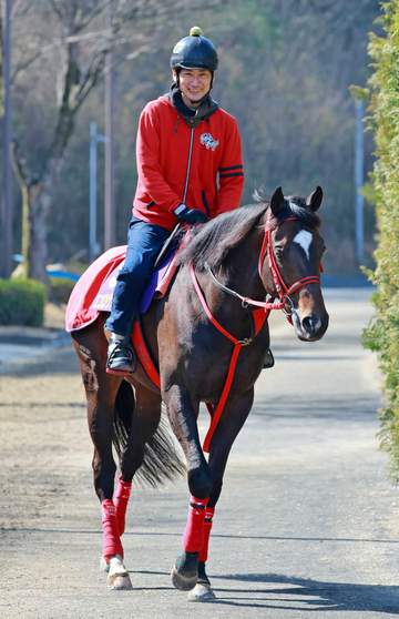 【大阪杯】エコロヴァルツ 昨年惜敗の雪辱果たす 牧浦師は仕上がりに満足げ「状態は上向いている」 枠も後押し「真ん中でいい」