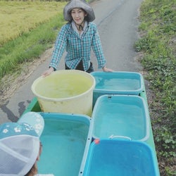 佐藤藍子、停電が続いている自宅の様子を報告「馬、犬、猫など、全ての生き物の為にも」