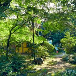 旧渋沢庭園（C）モデルプレス