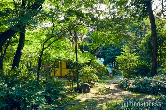 旧渋沢庭園（C）モデルプレス