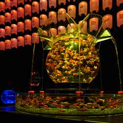 過去作品画像「花魁」/画像提供:アートアクアリウム