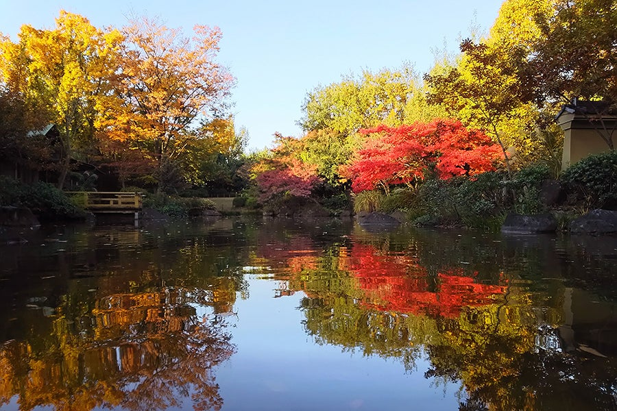足立区立郷土博物館