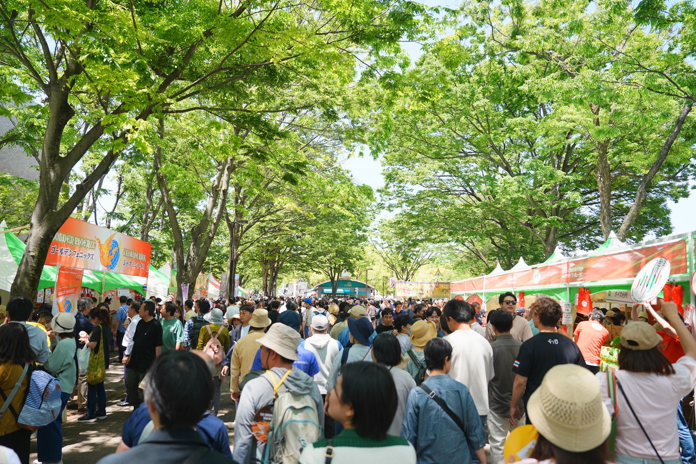 過去のタイフェスティバルの様子／提供画像
