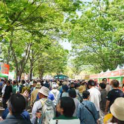 過去のタイフェスティバルの様子/提供画像