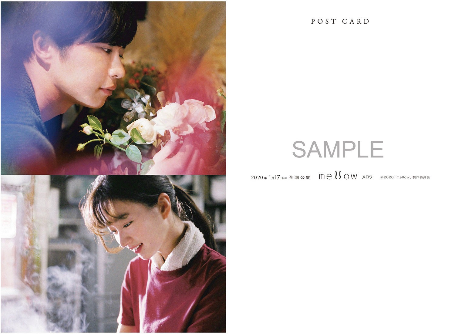 田中圭、岡崎紗絵／オリジナル特製ポストカード（C）2020「mellow」製作委員会