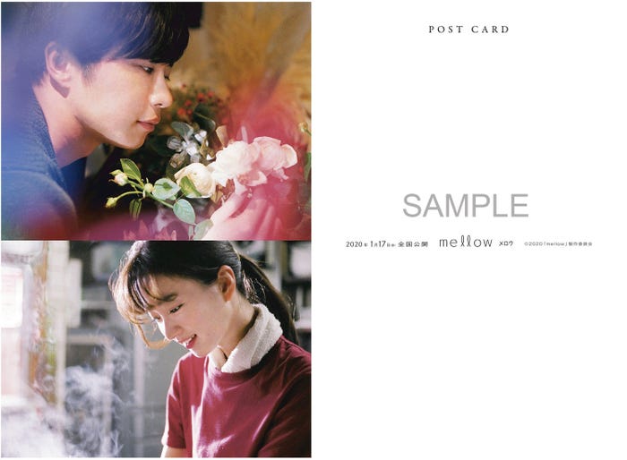 田中圭、岡崎紗絵/オリジナル特製ポストカード(C)2020「mellow」製作委員会