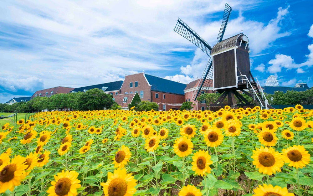 サマーフェスティバル～光の街の夏祭り～／画像提供：ハウステンボス