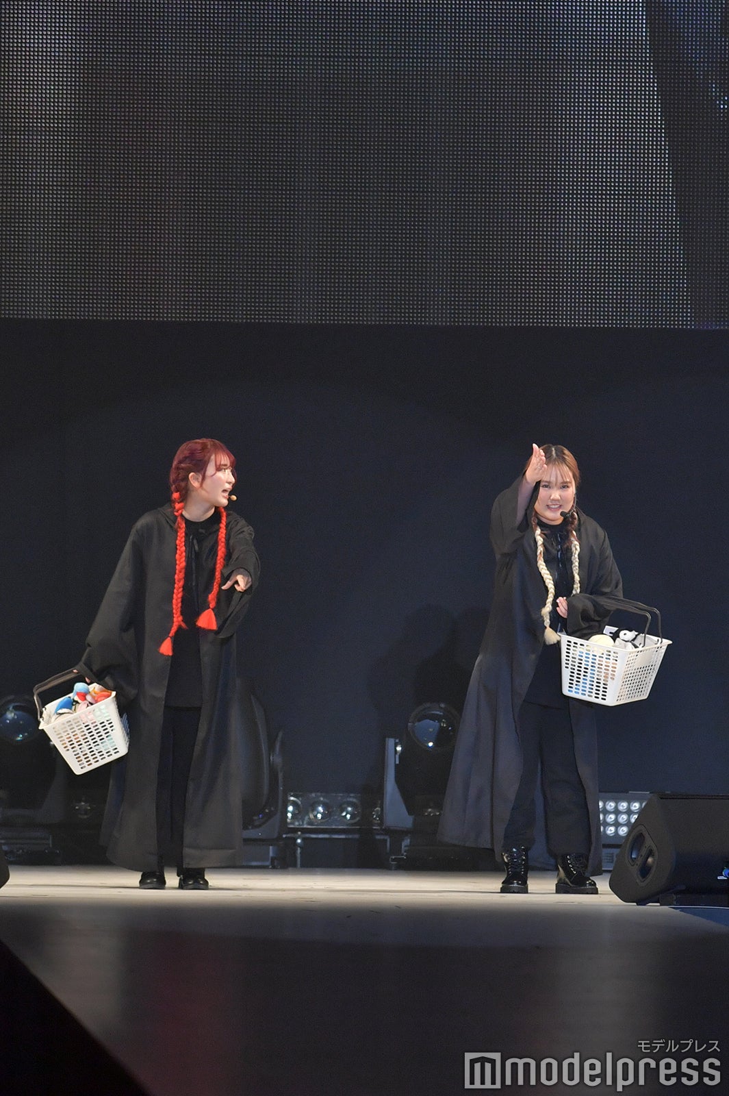 平成フラミンゴ（C）モデルプレス