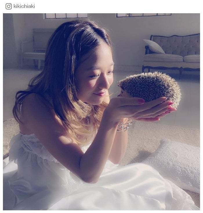 a伊藤千晃 純白ドレスでハリネズミとのショットに 天使のほほえみ の声 モデルプレス a伊藤千晃 純白ドレスでハリネズミとのショットに 天使のほほえみ の声 モデルプレス