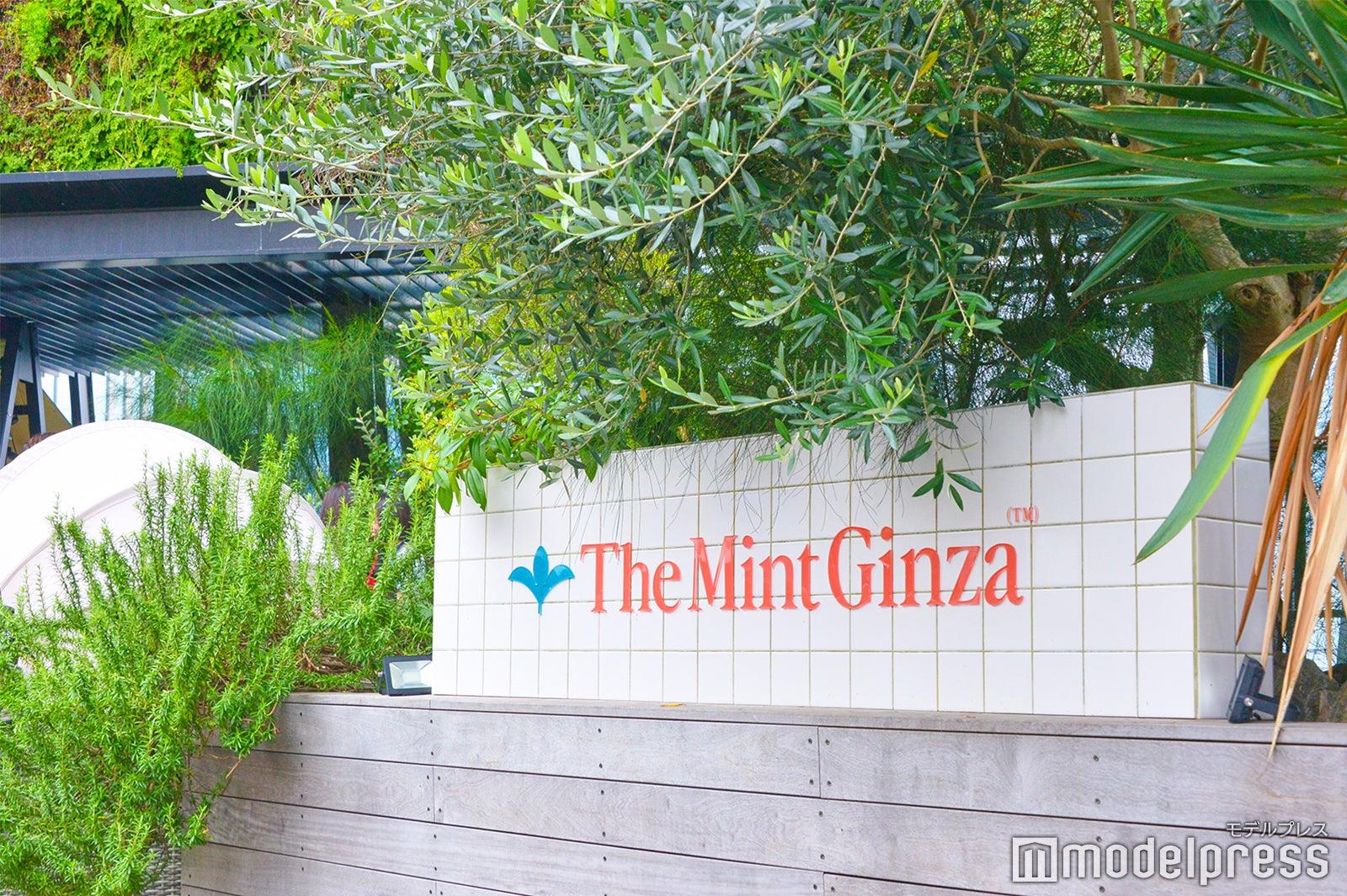 HERO’ZZ SUMMER BBQ（C）モデルプレス