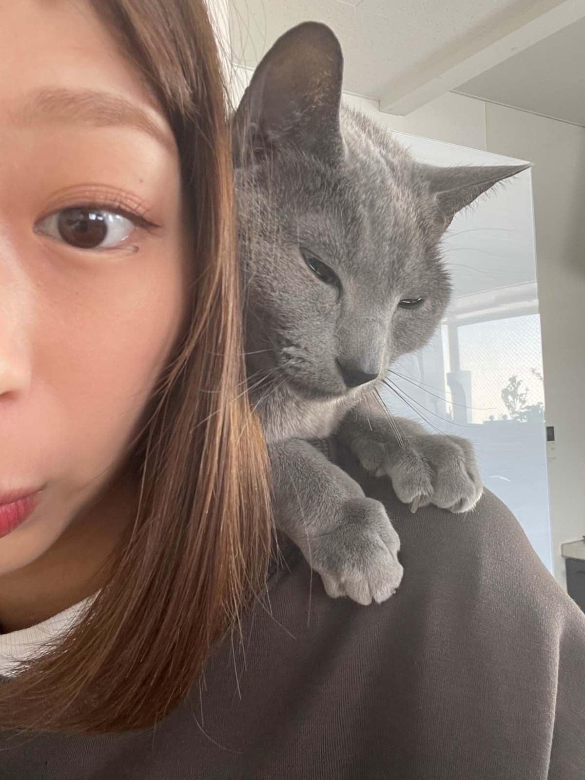 癒し。愛猫のねお君／小室瑛莉子アナウンサー（提供写真）