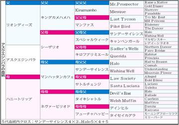 【皐月賞】アスクエジンバラ 牝系の“じゃない方”から出てくる面白み