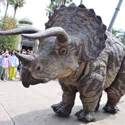 (C)モデルプレス