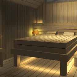 ベッドルームサウナ/画像提供:白井屋ホテル