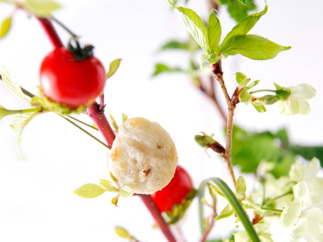 column_c8c60a9c797340894d2b5a078ac515ba.