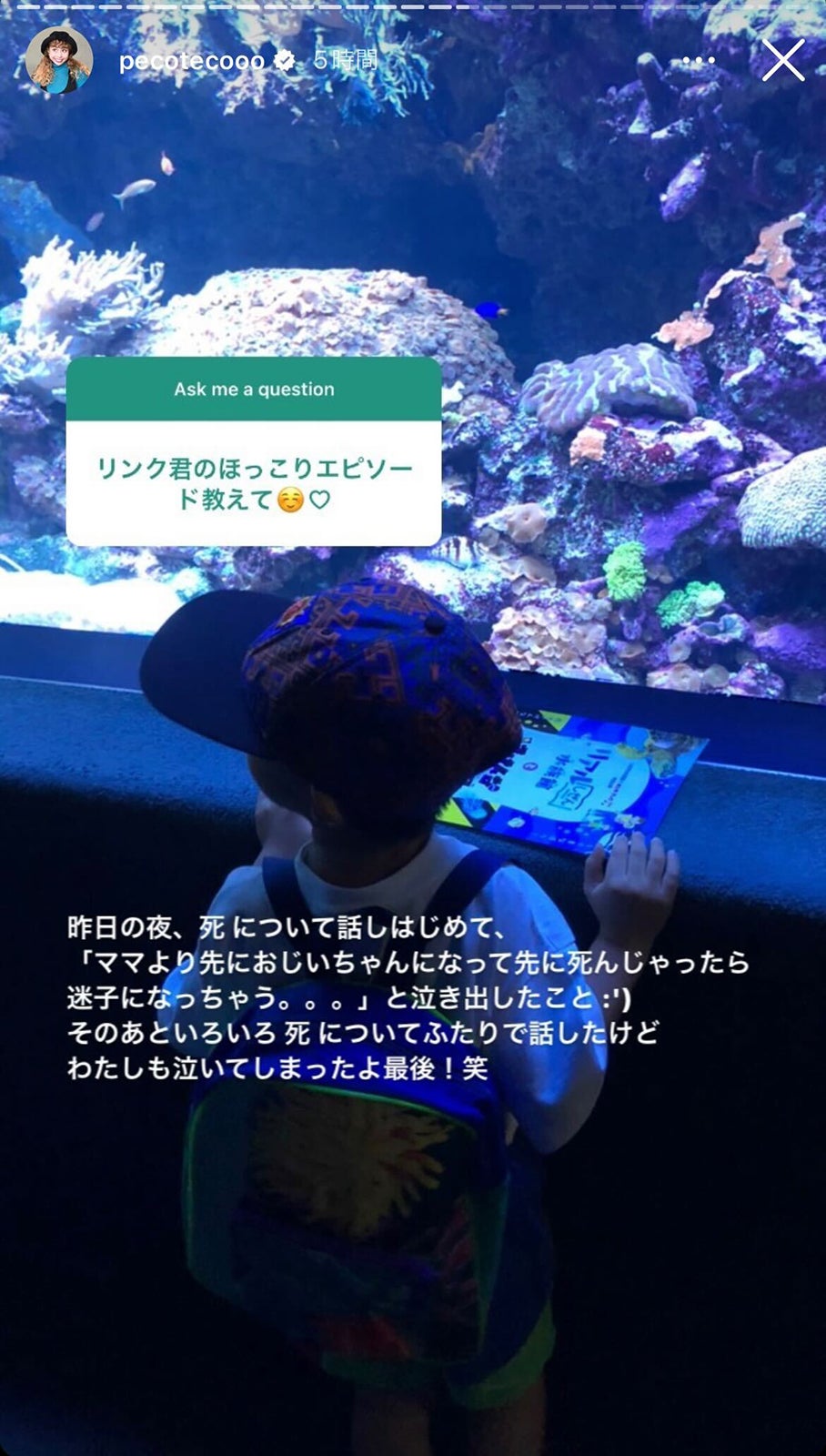 peco Instagramストーリーズより