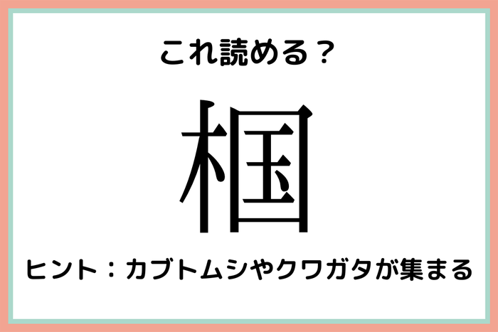 椢 きくに 読めたらスゴイ 一文字 難読漢字 4選 モデルプレス