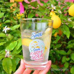 「GREEN UP!」会場の様子(C)モデルプレス