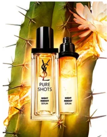 「YSL BEAUTY」（提供写真）