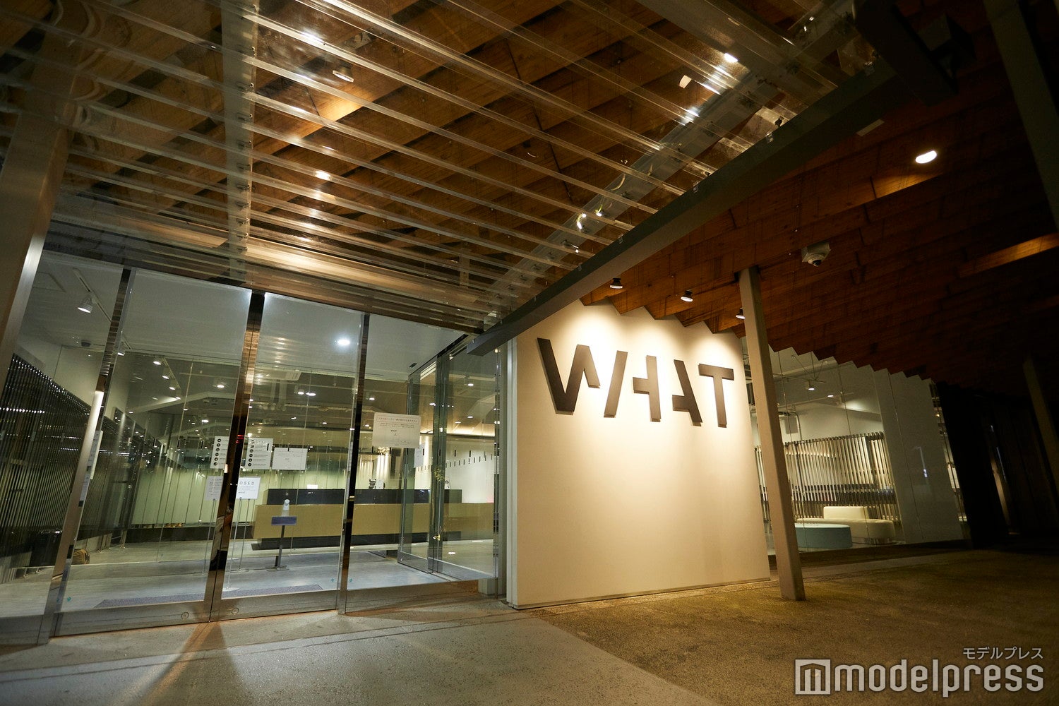 WHAT MUSEUM（C）モデルプレス