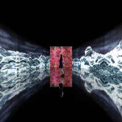 「チームラボ 永遠の海に浮かぶ無常の花」金沢21世紀美術館でチームラボ個展/画像提供:チームラボ