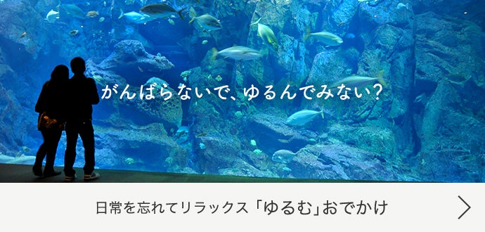 「ゆるむ」おでかけ