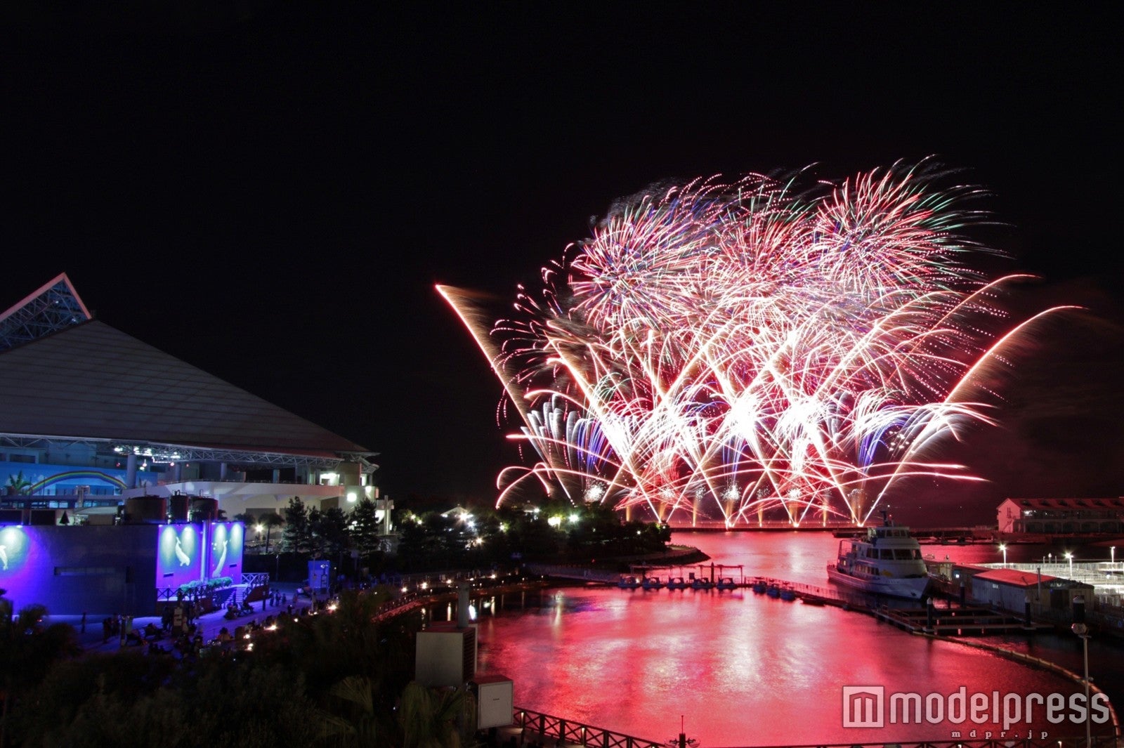 花火シンフォニア ～SPLASH！FIREWORKS～／画像提供：横浜八景島
