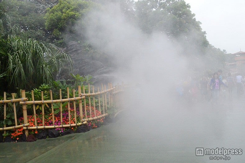 クールスポット