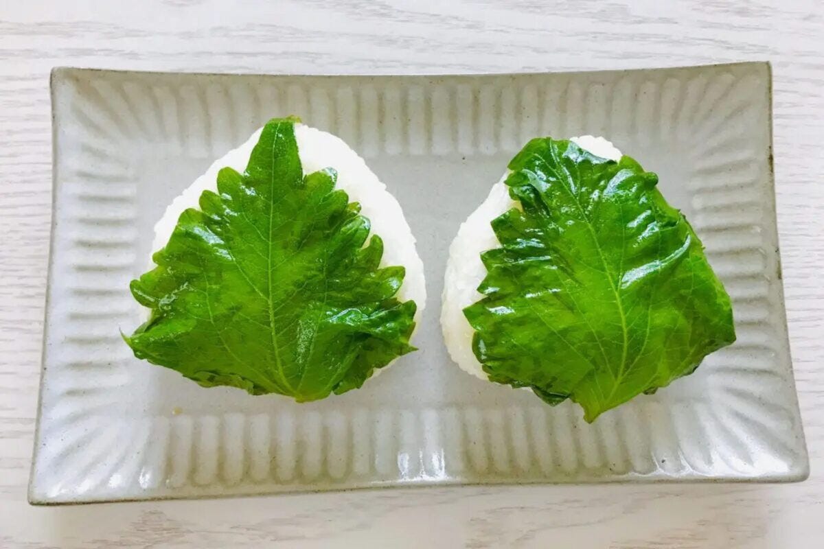 大葉の保存術