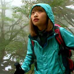 縄文杉を目指す登山（画像提供：テレビ東京）