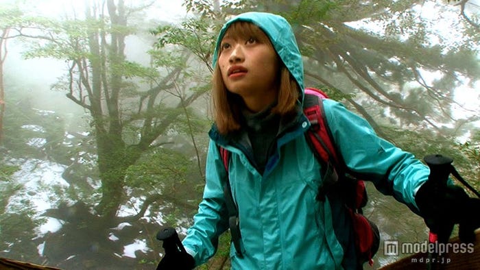 縄文杉を目指す登山(画像提供:テレビ東京)