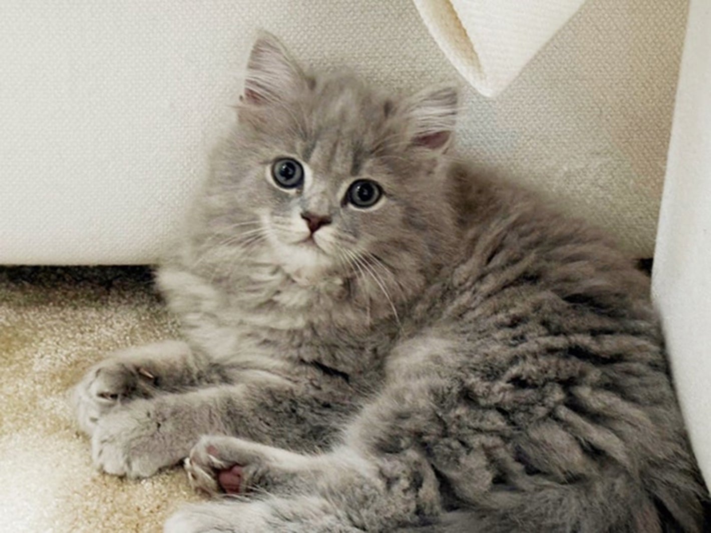 高橋克典オフィシャルブログより