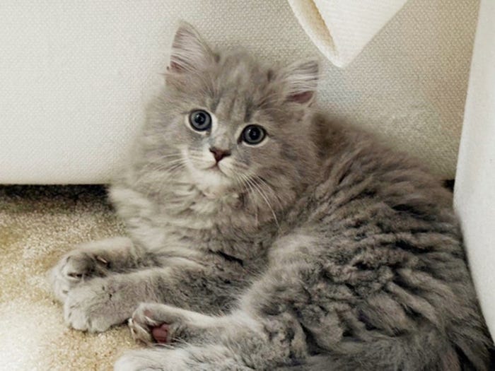 高橋克典オフィシャルブログより