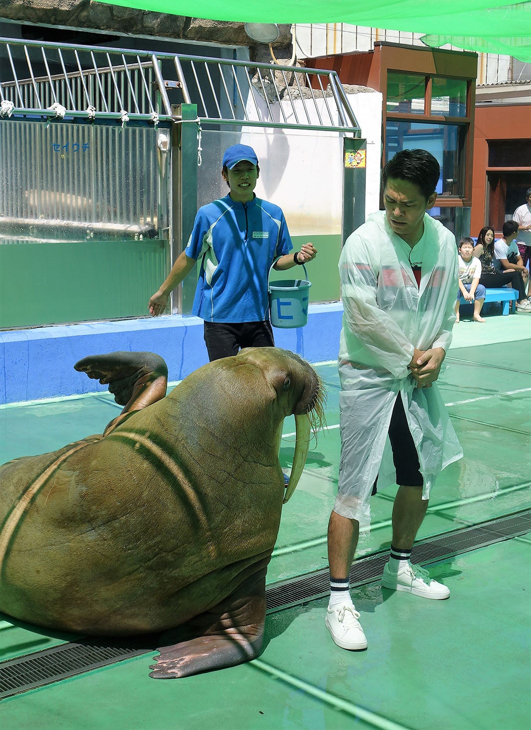 番組の様子（写真提供：関西テレビ）