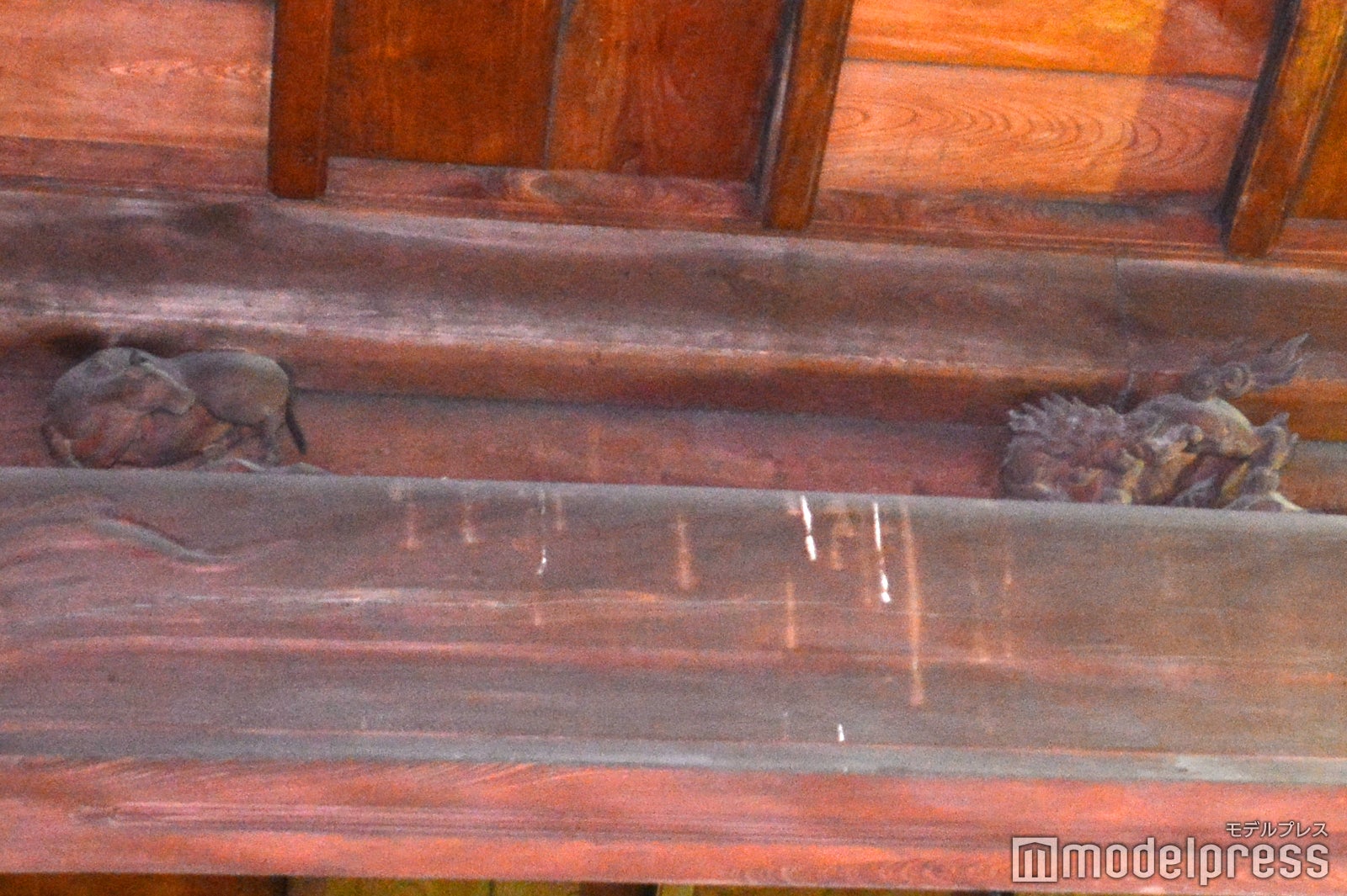 当時の職人が自身の腕前をアピールするため、梁の木材にひっそりと彫られた動物たち（C）モデルプレス